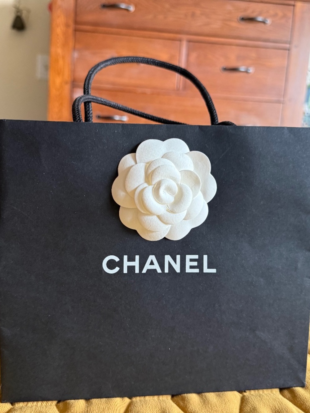 🦉 CHANEL GIFT BAG